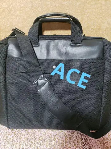 ACE 비즈니스 백