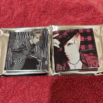 Acid Black Cherry 랜덤 아크릴 마그넷 B 2개 세트
