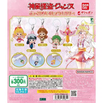 카미카제 괴도 잔느 통통 메지루시 액세서리