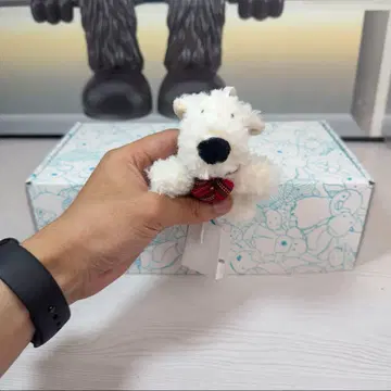 Jellycat 제리캣 화이트 곰 봉제 인형