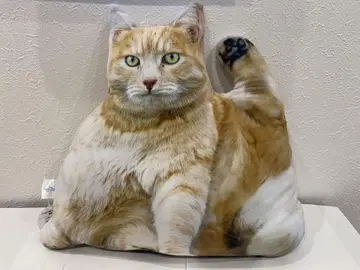 리얼 뚱냥이 쿠션 2