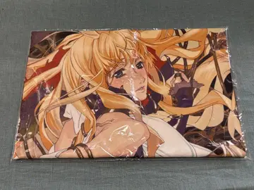 마크로스 프론티어 거짓의 노래 공주 극세사 스포츠 타월