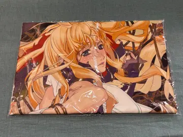 마크로스 프론티어 거짓의 노래 공주 극세사 스포츠 타월