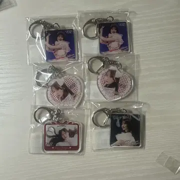 타치바나 코토미 스키 복권 아크링 키링
