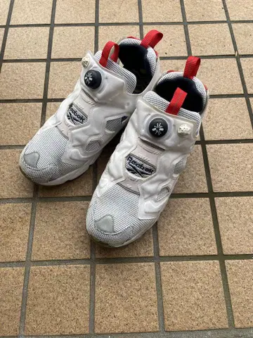 리복 펌프 퓨리