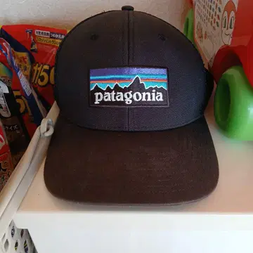 patagonia 블랙 메쉬 캡