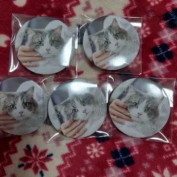 스토푸리 사토미군 야마토