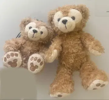 더피 브라운 곰 봉제 인형 2체 세트