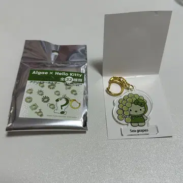 오사카 간사이 만박 일본관 조류 키티 아크릴 키링 쿠비레즈타