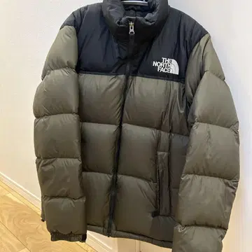 THE NORTH FACE ND91841 다운 눕시