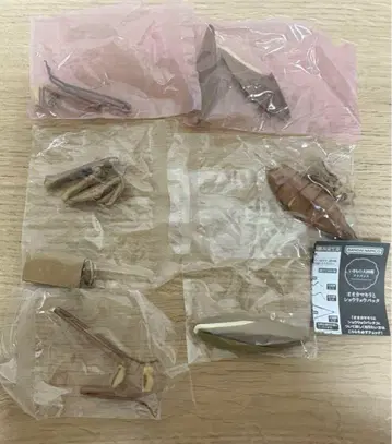 생물대도감 어드밴스 큰사마귀 갈색