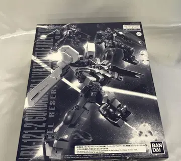 1/100 MG RX121-2 TR-1 [헤이즐 2호기]