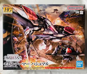 HG 1/144 하슈말