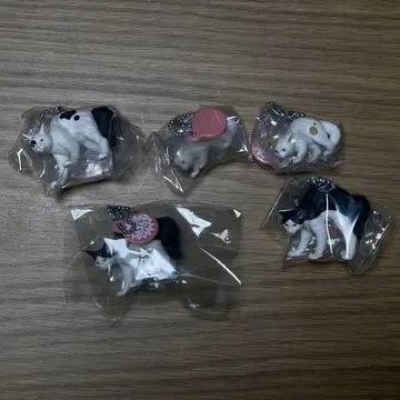 야옹냐옹 고양이 가챠가챠 캡슐 토이 낱개 판매 가능