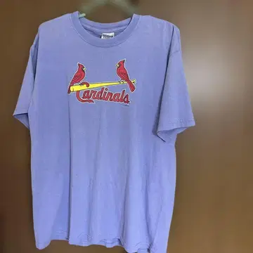 GILDAN Cardinals T셔츠 보라색 Youth XL