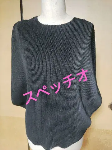 스페치오, 상의