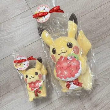 포켓몬 봉제 인형 For You! 피카츄와 글라시데아 꽃 부케