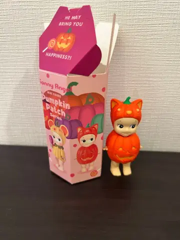 소니 엔젤 호박 패치 cat