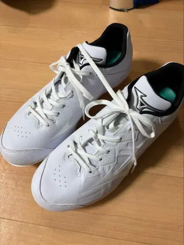 야구 스파이크 신발 Mizuno