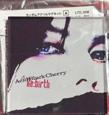 AcidBlackCherry 아크릴 마그넷 A