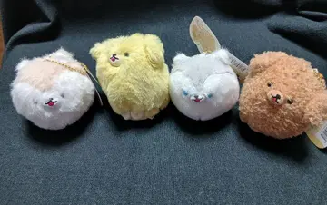 꼬리 붕붕 완완즈 2