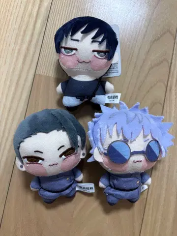 쵸피누이푸치 3개 세트