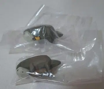 카와사키 세이지의 나무 조각 동물 마스코트 피규어 3 해달 시크릿