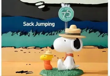 POPMART peanuts 스누피 팝마트 75주년 새상품