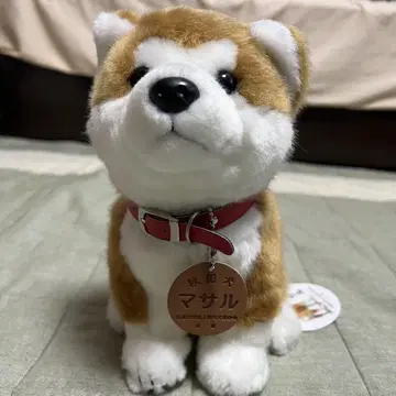 아키타견 마사루 봉제 인형
