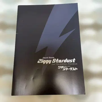 David Bowie Ziggy Stardust 팜플렛