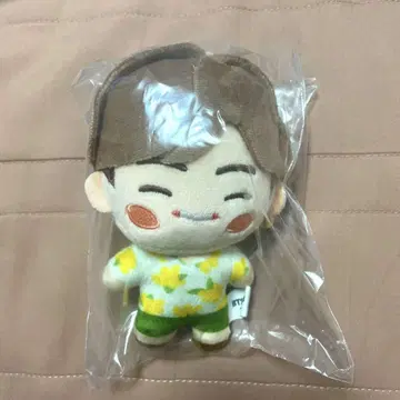 BTS bts 인더섬 V 마스코트 키링