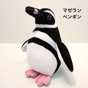 AQUA 봉제 인형 마린 펭귄 컬렉션 마젤란펭귄 수족관