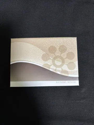 미나미 페이스 파우더