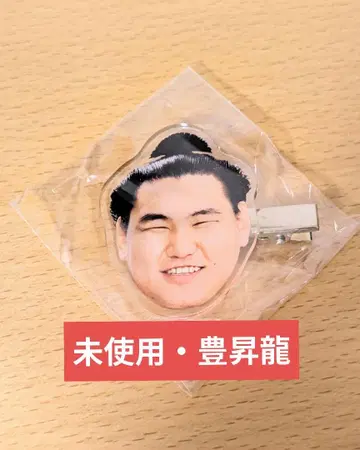 미사용 스모 가챠 헤어핀 토요시료