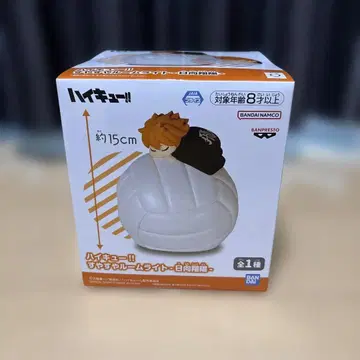 하이큐 룸 라이트