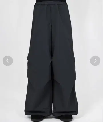 LAD MUSICIAN RIPSTOP OVER PANTS 42