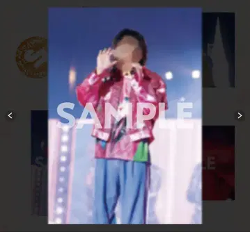 expo 복권 케차