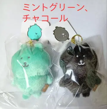 나가노 캐릭터 컬러 나가노의 곰 마스코트 민트 그린, 차콜