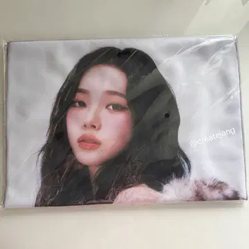 aespa aexis line 투어 슬로건 타월 카리나