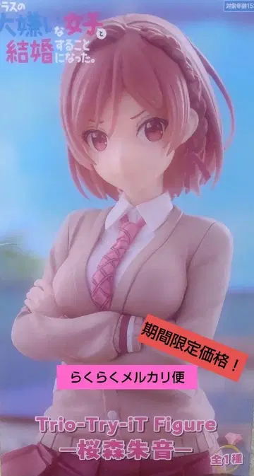 [ 기간 한정 가격 ] 벚꽃 숲 아카네 피규어