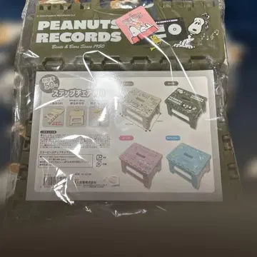 PEANUTS RECORDS 스텝 체어