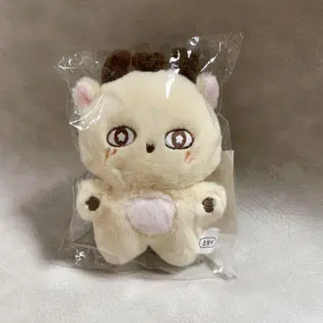 박지훈 생일 봉제 인형 MD