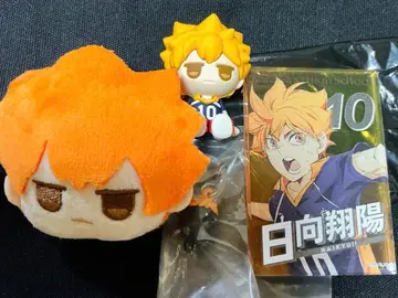 하이큐 히나타 쇼요 JITOT