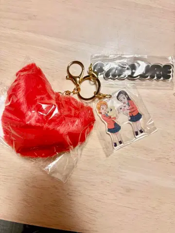 빛의 전사 프리큐어 키링