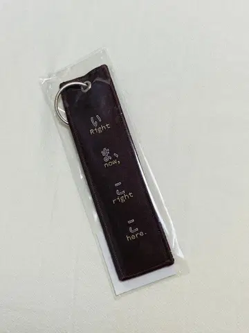 양문학 지금, 여기 키링