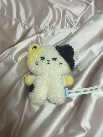 리니니 제로베이스원 봉제 인형
