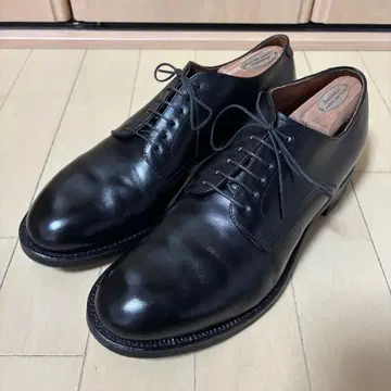 ALDEN anatomica 플레인 토우 8D
