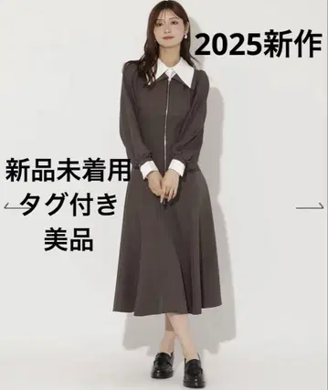 앙데팡당 레이어드 옷깃 프론트 ZIP 원피스