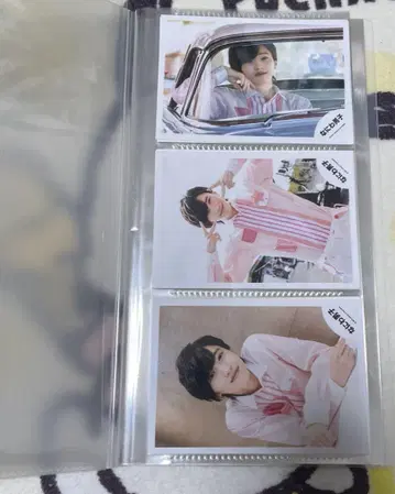 나니와단시 미치에다 슌스케 브로마이드 묶음 판매 53장