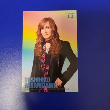THE ALFEE 트레이딩 카드 12번 타카미자와 씨